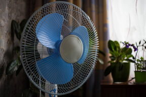 shutterstock_1463237603.jpg