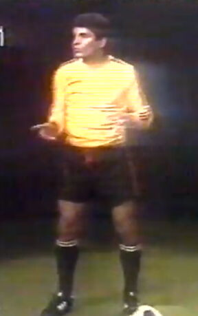 petar-borota2.png