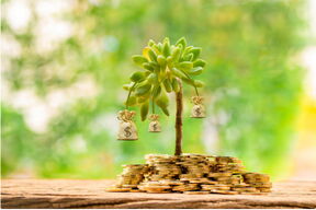 Shutterstock / Kotchapan VII.PNG