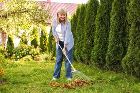 416930_travnjak-shutterstock-2691212685_ff.jpg