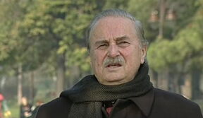 Milorad pavic.png