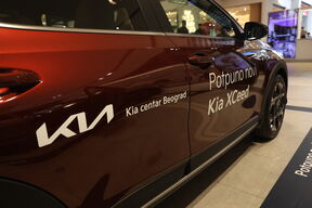 PL6A5574.JPG