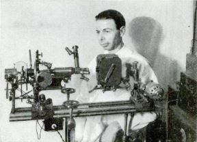 rojal-rajf.jpg