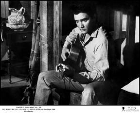 elvis-prisli.jpg