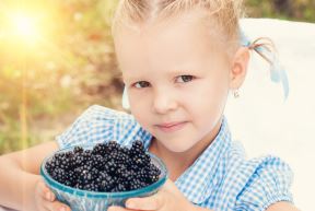 shutterstock-173628077.jpg
