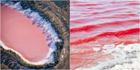 roze-jezero.jpg