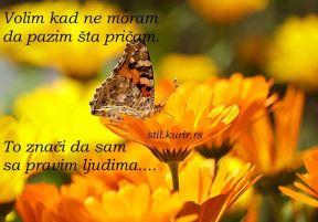 fb-postovi.jpg