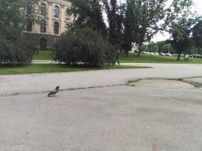beograd.jpg