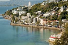 novi-zeland.jpg