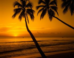 barbados.jpg