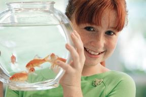 thinkstockphotos78424523.jpg
