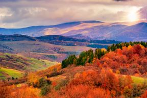 shutterstock-165872750.jpg