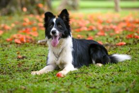 shutterstock-593634296.jpg
