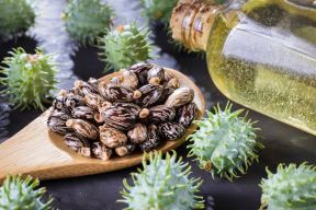 shutterstock-1066767527.jpg