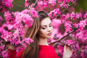 shutterstock-377445184.jpg