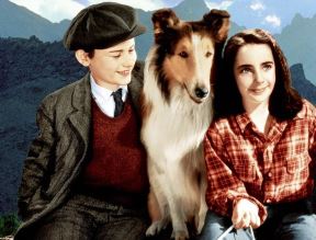 lassie.jpg