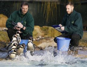 london-zoo.jpg