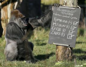 london-zoo.jpg