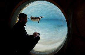 london-zoo.jpg