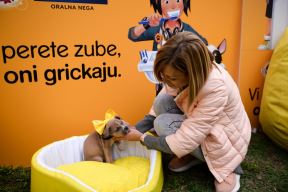 dusan-petkovic-photographer15.jpg