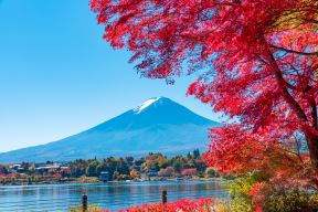 shutterstock-449902828.jpg