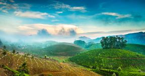 shutterstock-133790078.jpg