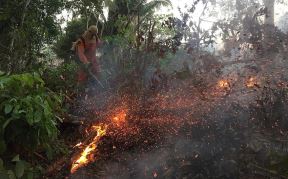 epa--epa-porto-velho-firefighters-hando.jpg