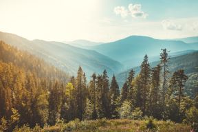 shutterstock-1042958161.jpg