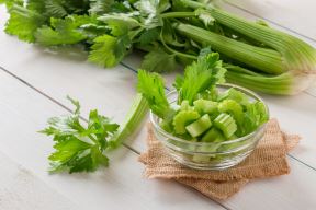 shutterstock-1052594534.jpg