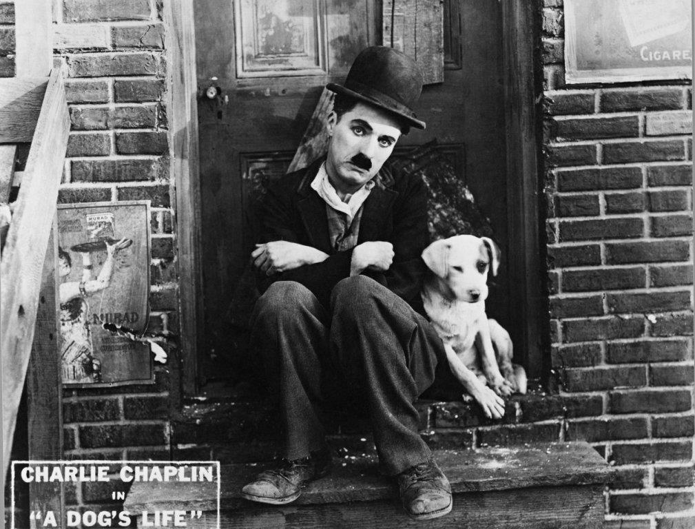 carli-caplin.jpg
