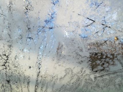 80807828-468184010749793-416732924314910720-n.jpg