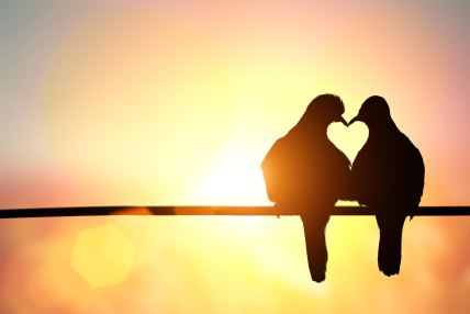 shutterstock-319596401.jpg