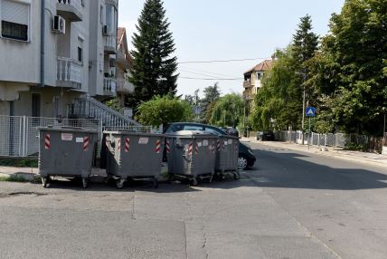 zorana-news1-zorana-jevtic.jpg