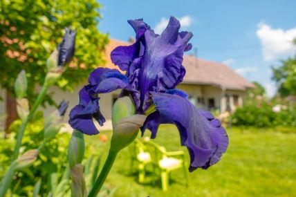 shutterstock-1090592438.jpg