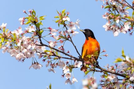 shutterstock-1547478506.jpg