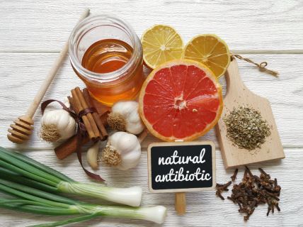 prirodni-antibiotici-shutter.jpg