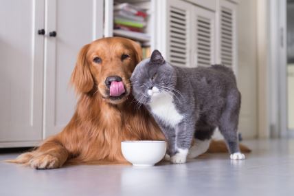 shutterstock-732043126.jpg