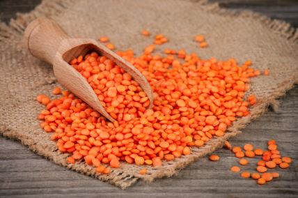 shutterstock-561369355.jpg