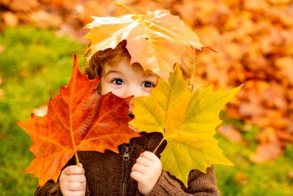 shutterstock-1797057514.jpg