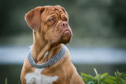 shutterstock-1337907380.jpg