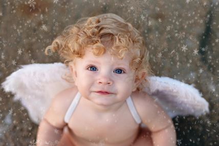 shutterstock-521639380.jpg