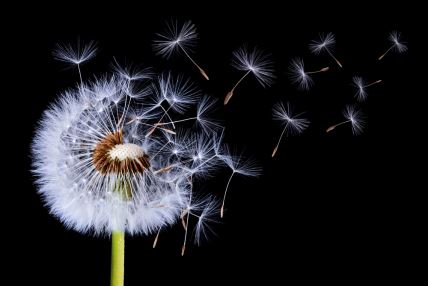 shutterstock-617488823.jpg