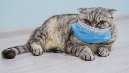 shutterstock-1673544130.jpg