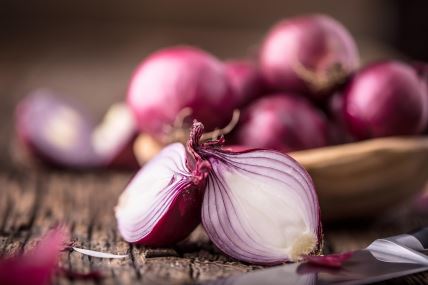 shutterstock-578223076.jpg