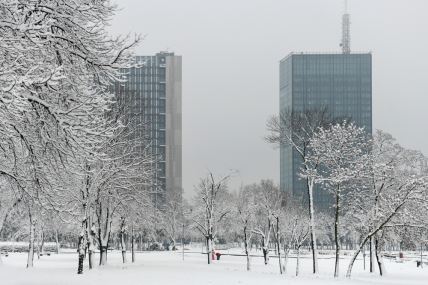 shutterstock-1892251471.jpg