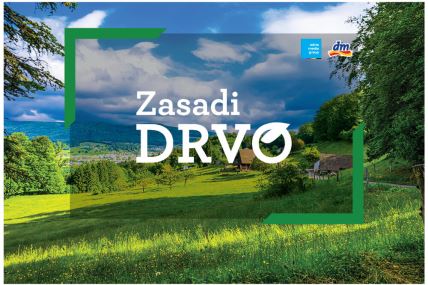 2874207-zdkurirwebnajava1000x6702022sadnjabecejns-ls.jpg