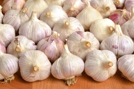 shutterstock-1916979497.jpg