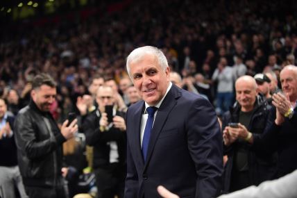 zeljkoobradovic.jpg