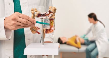 stockphotoanatomicalintestinesmodelwithpathologyindoctorhandsgastroenterologistpalpatespatient2091141616.jpg