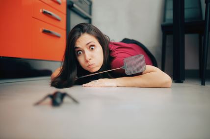glavna-stockphotowomanfollowingabiginsectonthekitchenfloorhomeownerusingaflyswatterchasingahuge2099808811.jpg